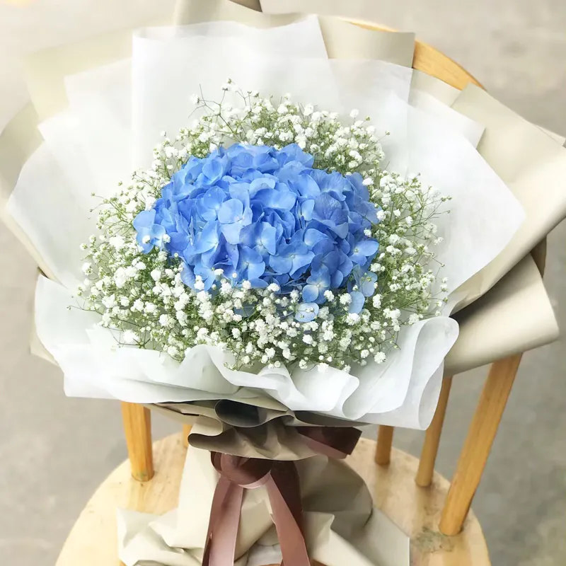 Букет из 1 гортензии и гипсофил